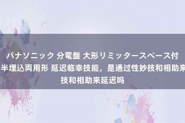 パナソニック 分電盤 大形リミッタースペース付 露出・半埋込両用形 延迟临幸技能，是通过性妙技和相助来延迟吗