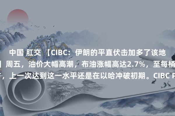 中国 肛交 【CIBC：伊朗的平直伏击加多了该地区潜在供应中断的可能性】周五，油价大幅高潮，布油涨幅高达2.7%，至每桶92好意思元上方，上一次达到这一水平还是在以哈冲破初期。CIBC Private Wealth资深动力来回员Rebecca Babin暗示，很少有投资者舒畅逢高卖出。伊朗的平直伏击加多了该地区潜在供应中断的可能性，导致好多来回商链接握有原油和看涨原油看涨期权。