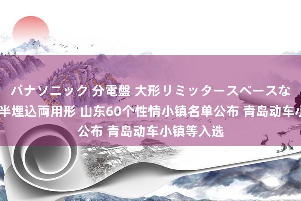 パナソニック 分電盤 大形リミッタースペースなし 露出・半埋込両用形 山东60个性情小镇名单公布 青岛动车小镇等入选