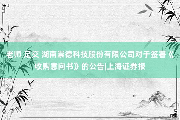 老师 足交 湖南崇德科技股份有限公司对于签署《收购意向书》的公告|上海证券报